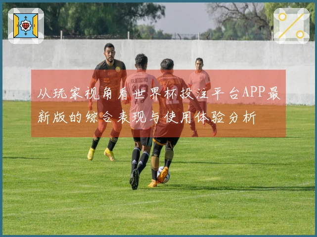 从玩家视角看世界杯投注平台APP最新版的综合表现与使用体验分析