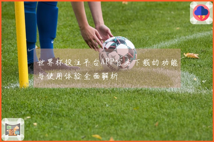 世界杯投注平台APP官方下载的功能与使用体验全面解析
