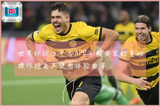 世界杯投注平台APP下载安装的基础操作指南及使用体验分享