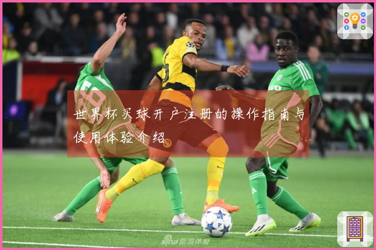 世界杯买球开户注册的操作指南与使用体验介绍