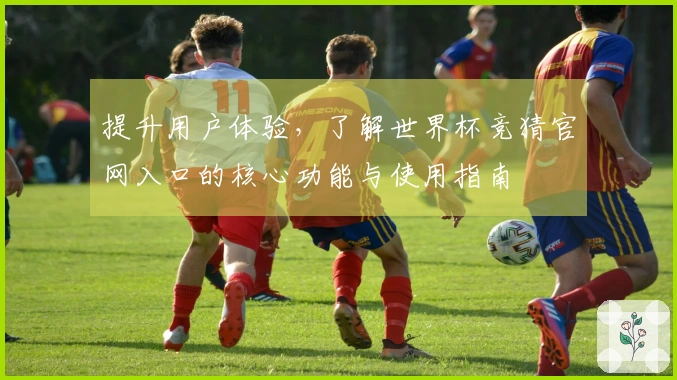 提升用户体验，了解世界杯竞猜官网入口的核心功能与使用指南