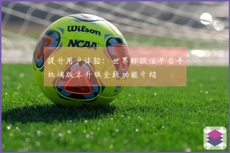 提升用户体验：世界杯投注平台手机端版本升级全新功能介绍