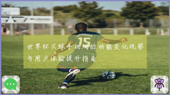 世界杯买球手机端的功能变化观察与用户体验提升指南