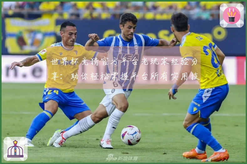世界杯竞猜官方平台老玩家经验分享：助你轻松掌握平台所有实用技巧