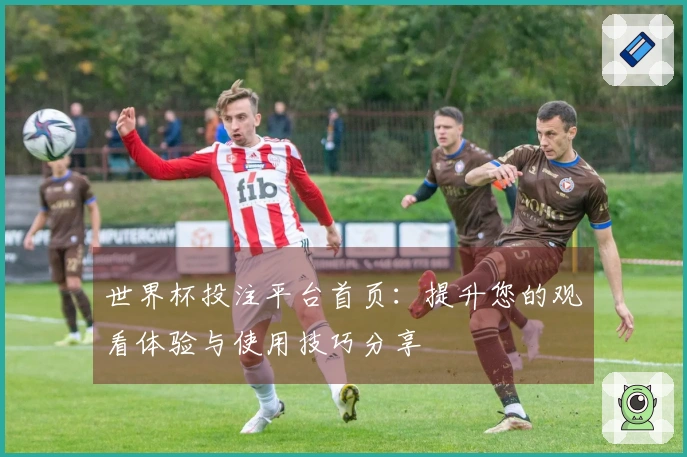 世界杯投注平台首页：提升您的观看体验与使用技巧分享